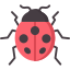 Bug Solver